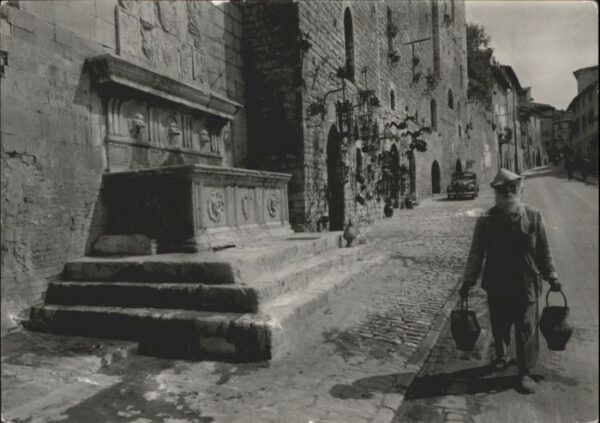 Assis Via Fontebella