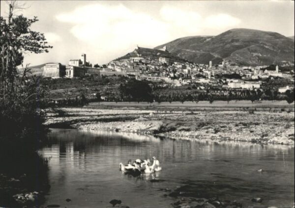 Assisi Umbria Schwan