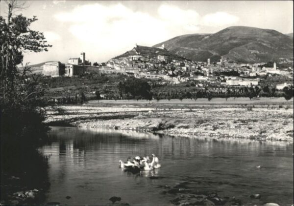 Assisi Umbria Schwan
