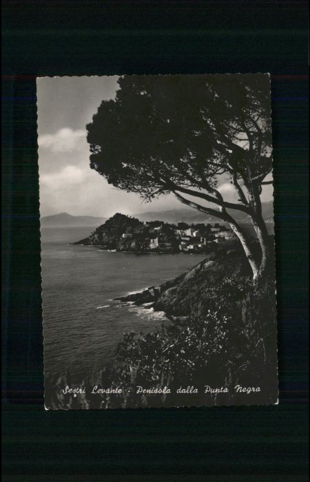 Sestri Levante Penisola dalla Punta Negra