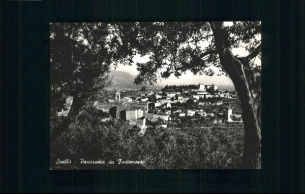 Spello Fontemonte