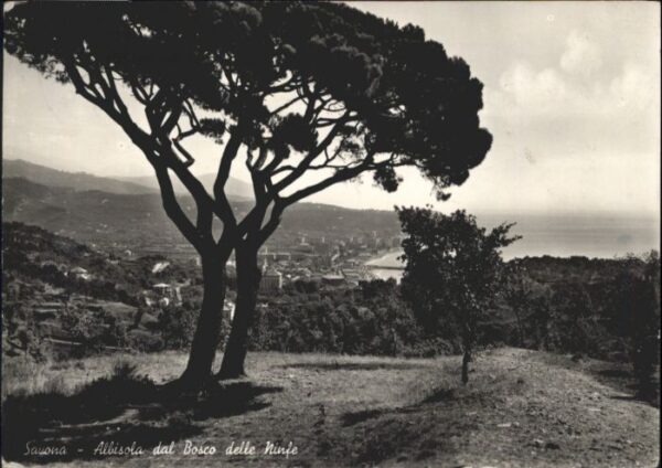 Savona Liguria Savona Albisola dal Bosco delle Ninfe