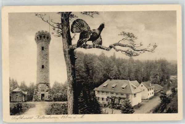 Kaltenbronn