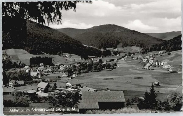 Mitteltal