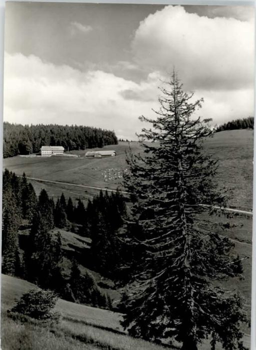 Geschwend Gasthof Pension Gisiboden