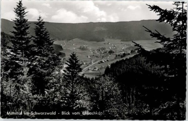 Mitteltal