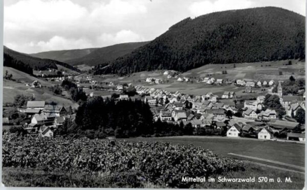 Mitteltal