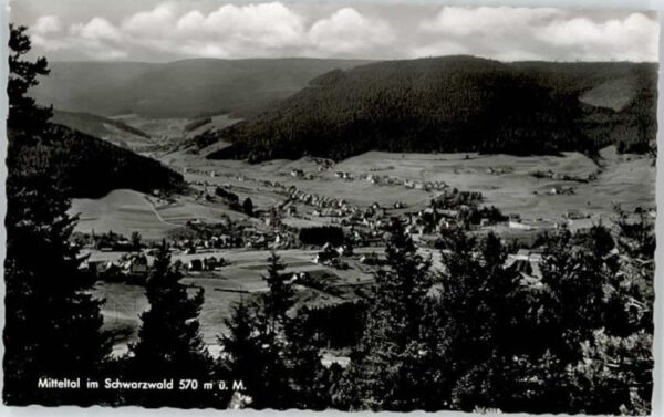 Mitteltal