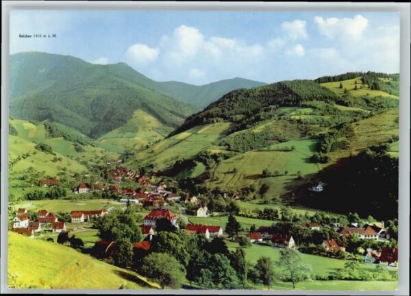Muenstertal