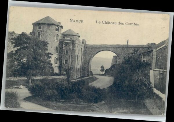 Namur Wallonie Namur Chateau Comtes