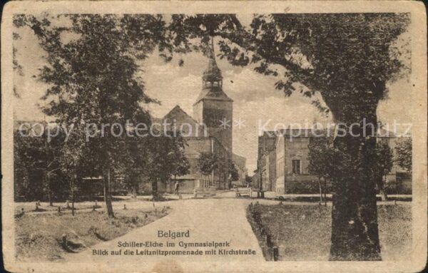 Belgard Pommern Schiller Eiche im Gymnasialpark