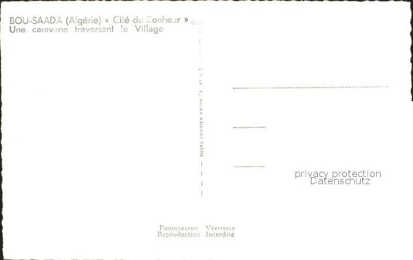 Bou Saada Kamelkaravane durch die Stadt – Bild 2