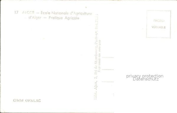 Alger Algerien Ecole Nationale d_Agriculture Partique – Bild 2