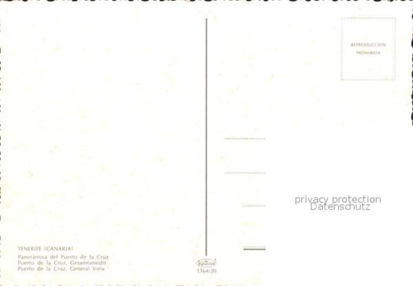 Puerto de la Cruz Fliegeraufnahme – Bild 2