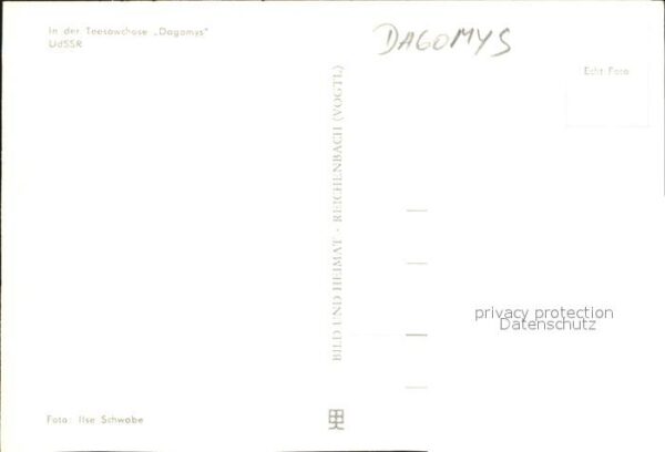 Dagomys Samowar – Bild 2