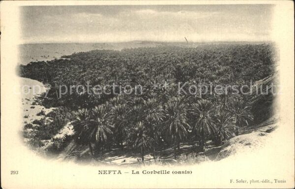 Nefta La Corbeille oasis