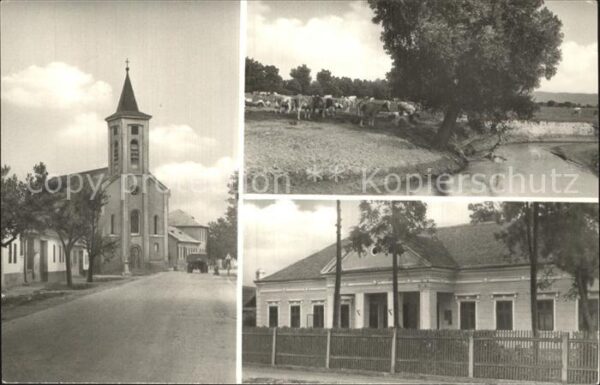 Tat Kirche Weide
