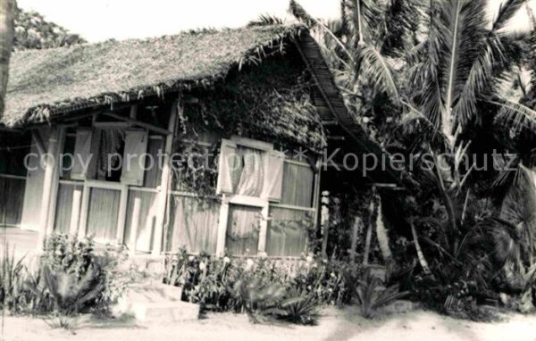 Madagascar einfaches Wohnhaus unter Palmen