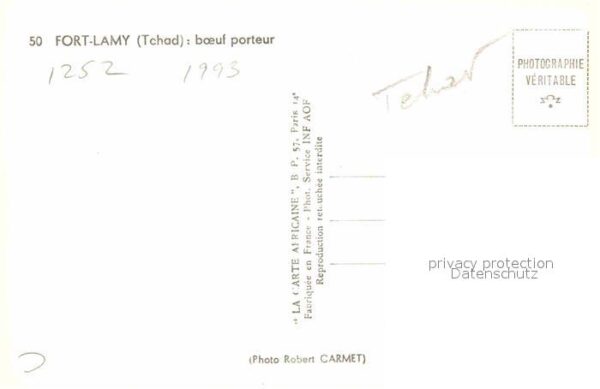 Tschad Tchad Fort Lamy Boeuf Porteur – Bild 2