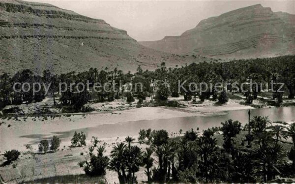Ksar es Souk Palmeraie