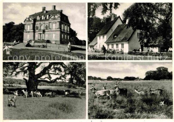 Klampenborg Eremitag Slottet Jægersborg Dyrahaven