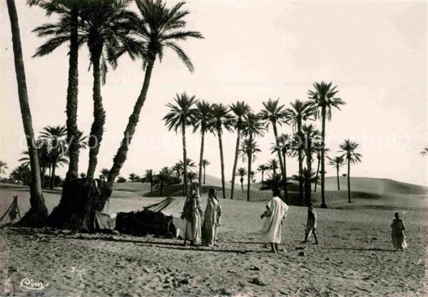 Afrika Afrique Africa Dans la Palmeraie