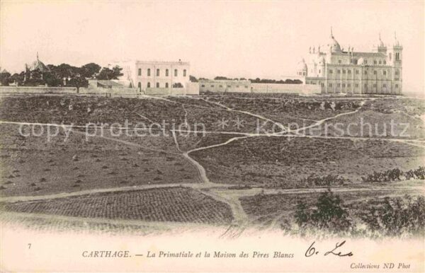 Carthage Karthago Primatiale Maison Peres Blanes