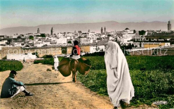 Meknes Gesamtansicht