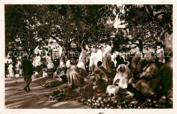 Tanger Tangier Tangiers Markt