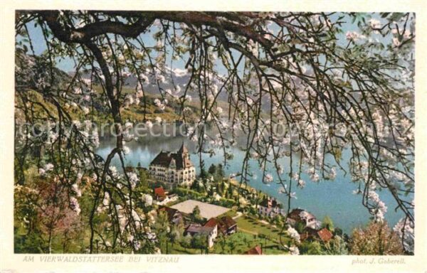 Foto Gaberell J. Nr. 6503 Vierwaldstättersee Vitznau