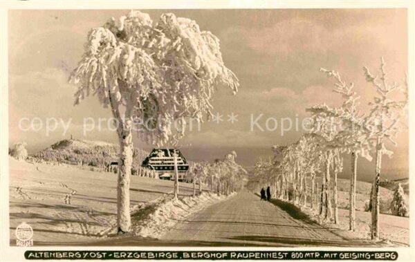 Foto Hahn Nr. 11933 Altenburg Erzgebirge Berghof Raup