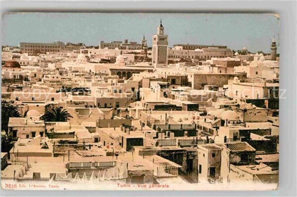 Tunis Vue generale