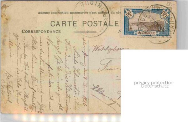 Martinique Boeufs s_abreuvement pres du Pont Dillo – Bild 2