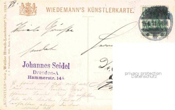 Verlag Wiedemann WIRO Nr. 1829 A Weisser Hirsch Waldpark – Bild 2