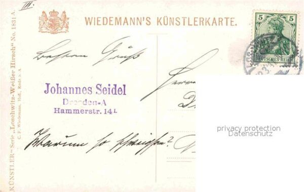 Verlag Wiedemann WIRO Nr. 1831 A Loschwitz Weisser Hirsch Drahtse – Bild 2
