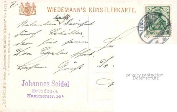Verlag Wiedemann WIRO Nr. 1832 A Loschwitz Weisser Hirsch Schwebe – Bild 2