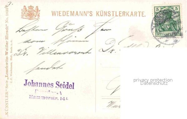 Verlag Wiedemann WIRO Nr. 1830 A Loschwitz Weisser Hirsch Drahtse – Bild 2