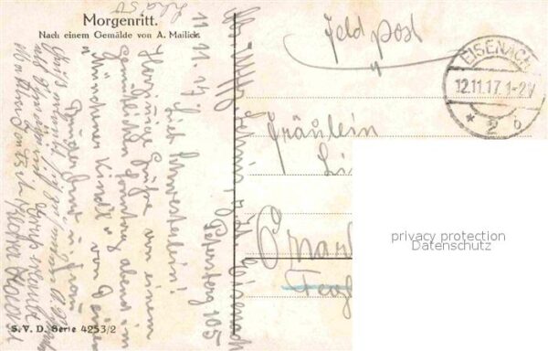 Mailick Morgenritt Pferd – Bild 2