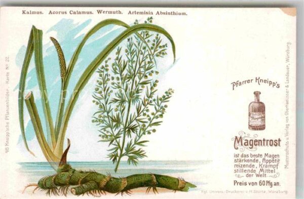 Medizin Pfarrer Kneipp's Magentrost Kalmus Acor