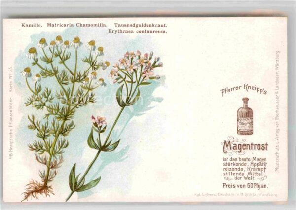 Medizin Pfarrer Kneipp's Magentrost Kamille Tau