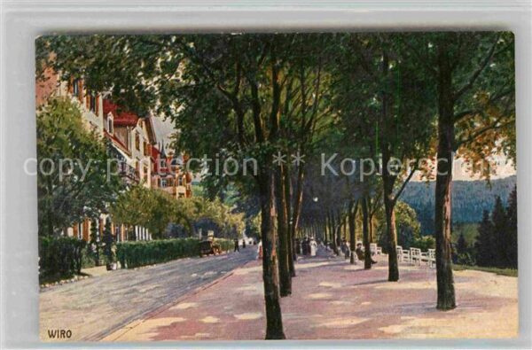 Verlag WIRO Wiedemann Nr. 2448 A Hotel Waldeck Kurpromenade Freud