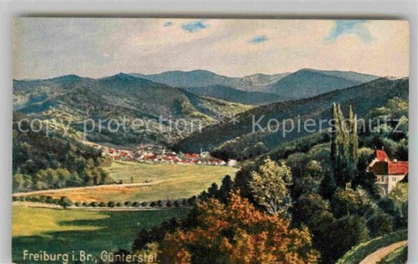 Verlag Wiedemann WIRO Nr. 1987 B Freiburg im Breisgau Günterstal