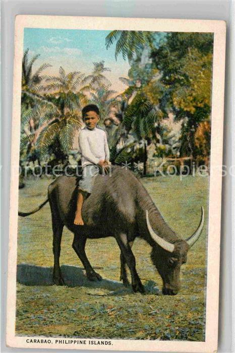 Tiere Wasserbüffel Kind Carabao Philippine Is