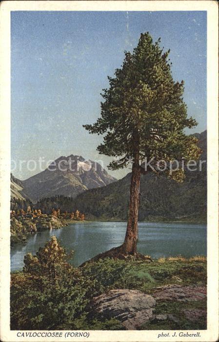 Foto Gaberell J. Nr. 5035 Cavlocciosee Forno