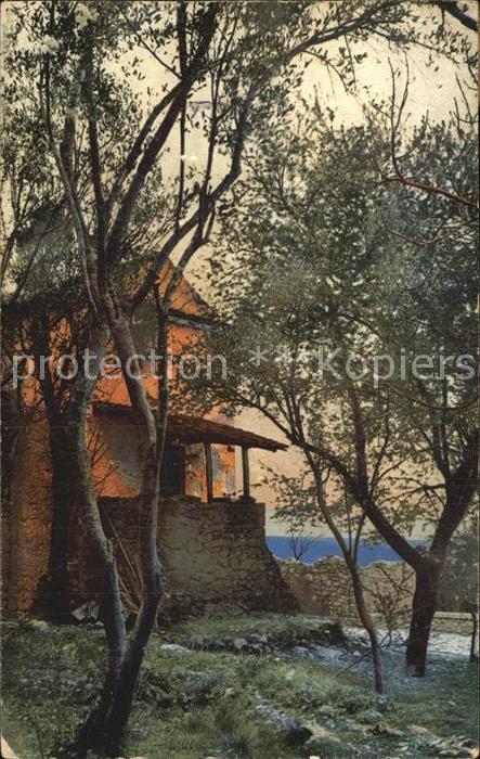 Verlag Photochromie Nr. 1864 Haus Natur Bäume