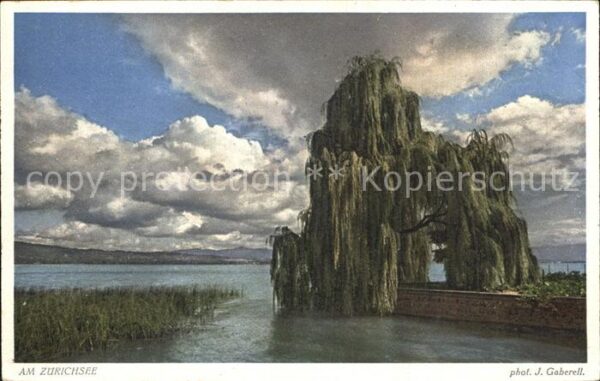 Foto Gaberell J. Nr. 8895 Zürichsee