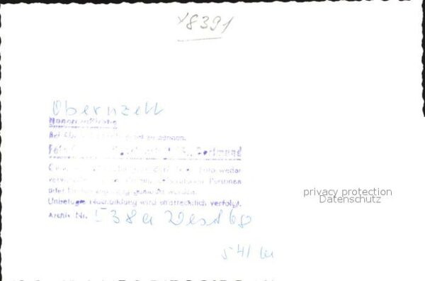Pferde Obernzell – Bild 2