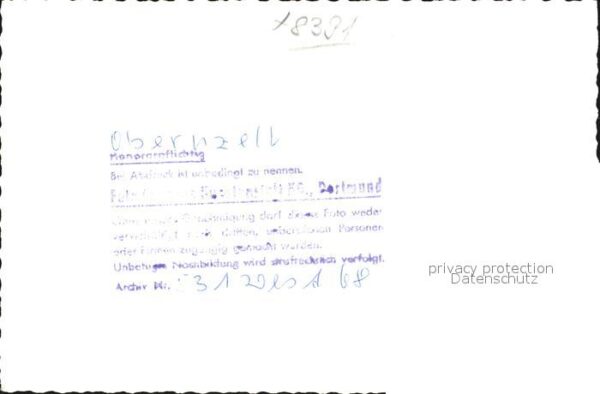 Pferde Obernzell – Bild 2