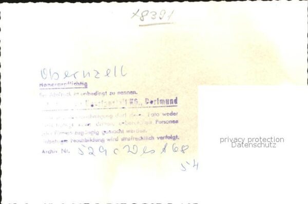 Pferde Obernzell – Bild 2