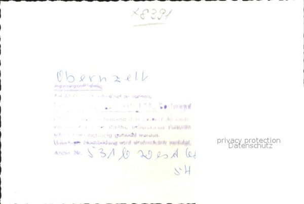 Pferde Obernzell – Bild 2